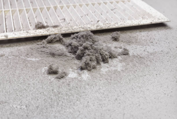 Best Local Air Duct Cleaning Services  in Georgiana, AL