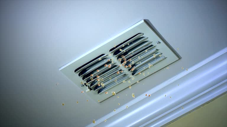 Best Affordable Air Duct Cleaning  in Georgiana, AL