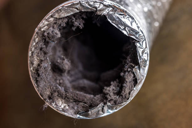 Best Professional Duct Cleaning Services  in Georgiana, AL